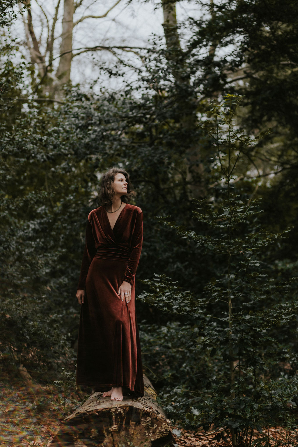 Barbara Schriek